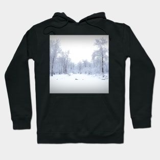 Snow covered pond. Hoodie